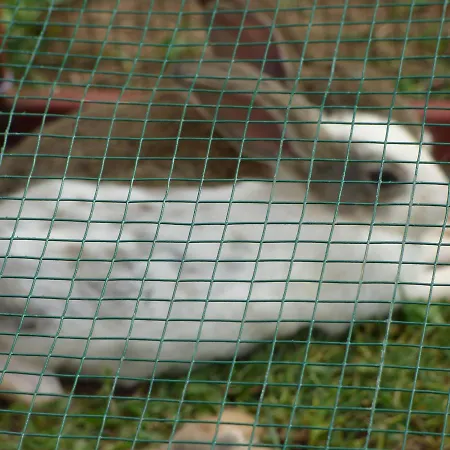 Avlu 4 公寓式酒店 马尔马里斯