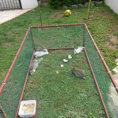 Apartmanhotel Avlu 4